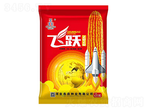 �w�S2020-�����N�I(y��)