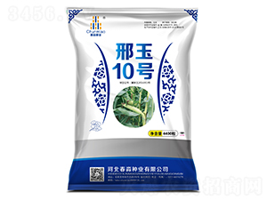 ����10̖-�����N�I(y��)