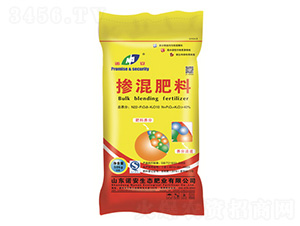 �������-�Z��-�x¡�ʘI(y��)