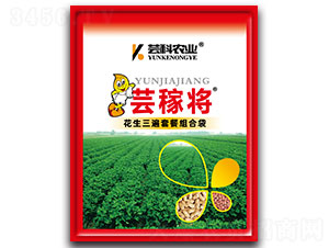 ���������ײͽM�ϴ�-�|�ڌ�-�|���r(n��ng)�I(y��)