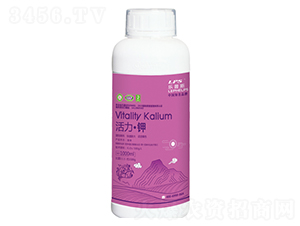 �������-�Θ��r(n��ng)�I(y��)