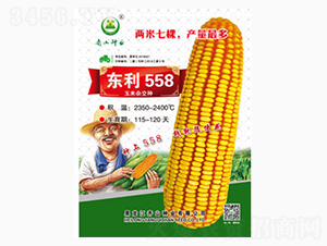 �|��558-�Rɽ�N�I(y��)