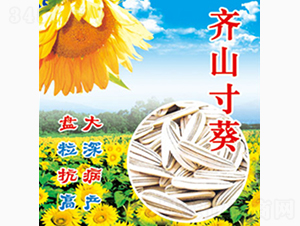 �Rɽ���-�Rɽ�N�I(y��)