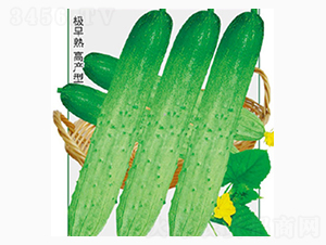 ����-�Rɽ�N�I(y��)