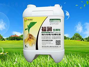 ������-����-��������