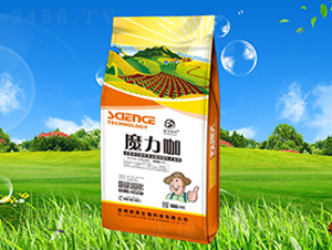 ħ����-��������