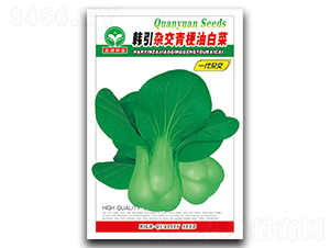 �s���๣�Ͱײ�-�ײ˷N��-ȪԴ