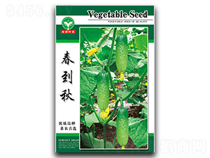 ������-�S�ϷN��-ȪԴ