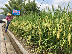 Ұ�マ(y��u)9̖-�G���N�I(y��)