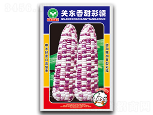 �P(gu��n)�|�����Ŵ-���׷N��-ȪԴ