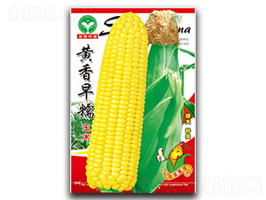 �S����Ŵ-���׷N��-ȪԴ