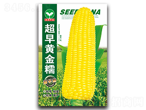 �����S��Ŵ-���׷N��-ȪԴ