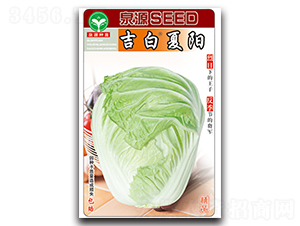 �������-�ײ˷N��-ȪԴ