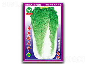 �P(gu��n)�|ɵ��-�ײ˷N��-ȪԴ