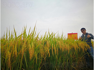 ��ռ��(y��u)8̖-�G���N�I(y��)