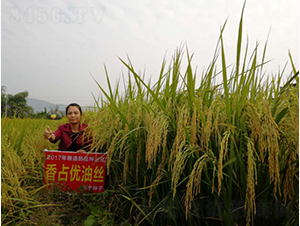 ��ռ��(y��u)�ͽz-�G���N�I(y��)