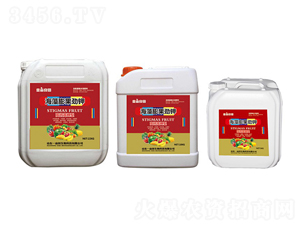 ���}����ͺ���������-Ҽ������