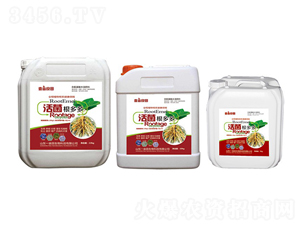 ��������-Ҽ������