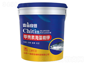 �ך��غ��徫�-Ҽ������