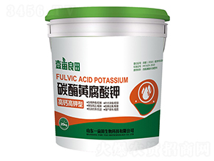 ̼ø�S�����-Ҽ������