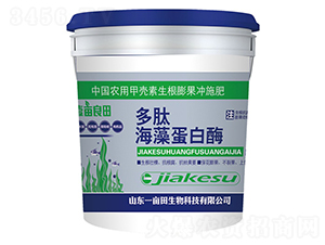 ���ĺ��嵰��ø-Ҽ������