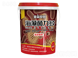 ���������-Ҽ������