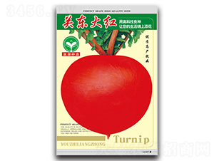 �P(gu��n)�|��t-�}���N��-ȪԴ