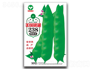 美國銀湖238-豆角種子-泉源