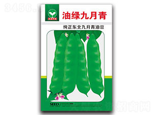 �;G������-���ǷN��-ȪԴ