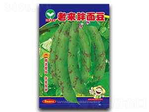 �ρ�(l��i)���涹-���ǷN��-ȪԴ