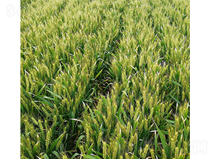 ��¡169-�A��N�I(y��)