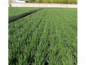 ����46-�A��N�I(y��)