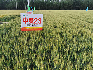 ����23-�A��N�I(y��)