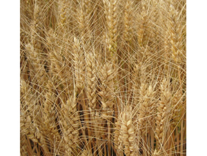 �(zh��n)��9̖(h��o)-�A��N�I(y��)