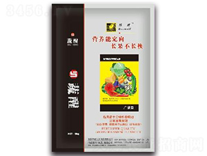 �V�V�����ћ_ʩ��-��������