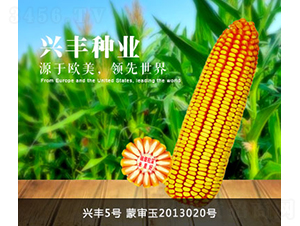 �d�S5̖-�d�S�N�I(y��)