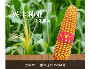 �d�S12-���׷N��-�d�S�N�I(y��)