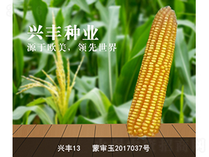 �d�S13-���׷N��-�d�S�N�I(y��)