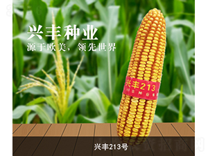 �d�S213̖-���׷N��-�d�S�N�I(y��)