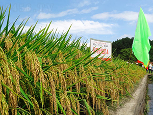 ��Ƀ�(y��u)5814-�s���е�-���A�N�I(y��)