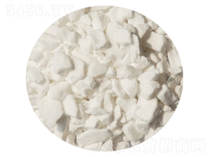 ��Ҏ(gu��)�t�w�����-ïʩ