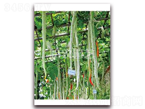 �߹ϷN��-���r(n��ng)�@ˇ