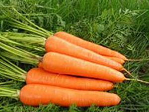 ����-���}���N��-���r(n��ng)�@ˇ