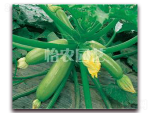 ����-�����J�N��-���r(n��ng)�@ˇ