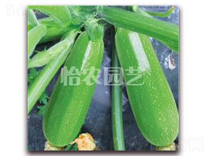 �G��������J-�����J�N��-���r(n��ng)�@ˇ