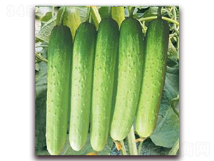 ���S��-�S�ϷN��-���r(n��ng)�@ˇ