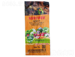 �����������-�ֿ��R