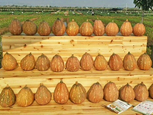 �Ϲ�1̖-�ϹϷN��-��֮Դ