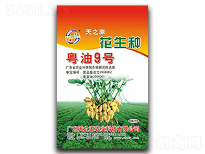 ����9̖-�����N��-��֮Դ