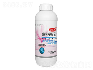 ΢�������-��؁��������-�����